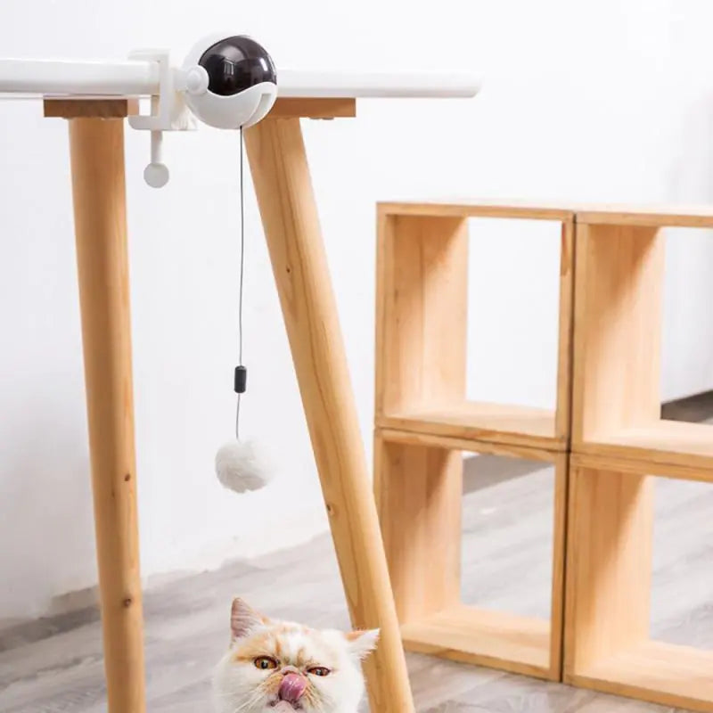 Automatic Lifting Motion Cat Toy