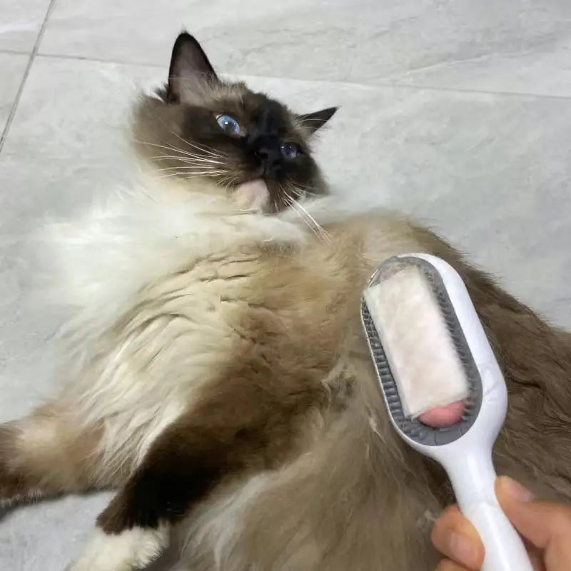 Hair Removal Brushes for Pets